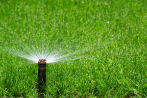 29468807 - automatic sprinkler watering grass