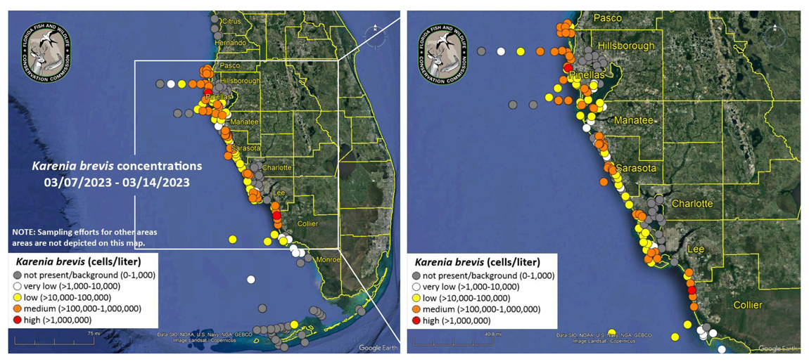 Red Tide map