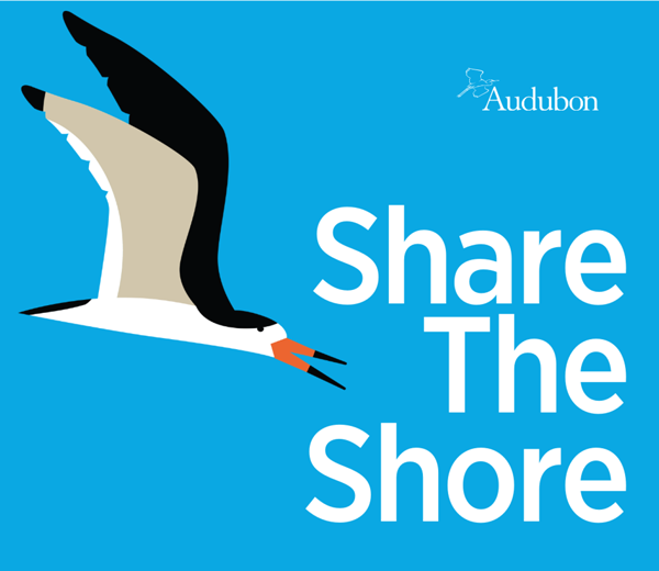 share-the-shore